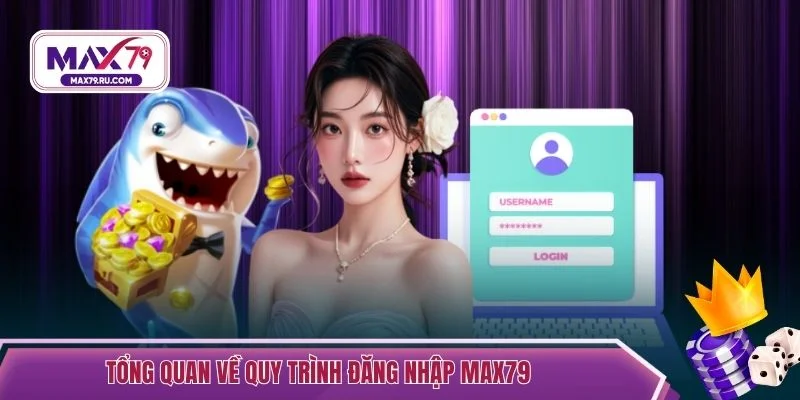 Tổng quan về quy trình đăng nhập MAX79